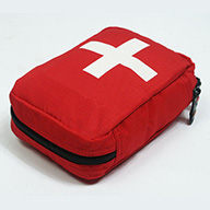First Aid Theory Course